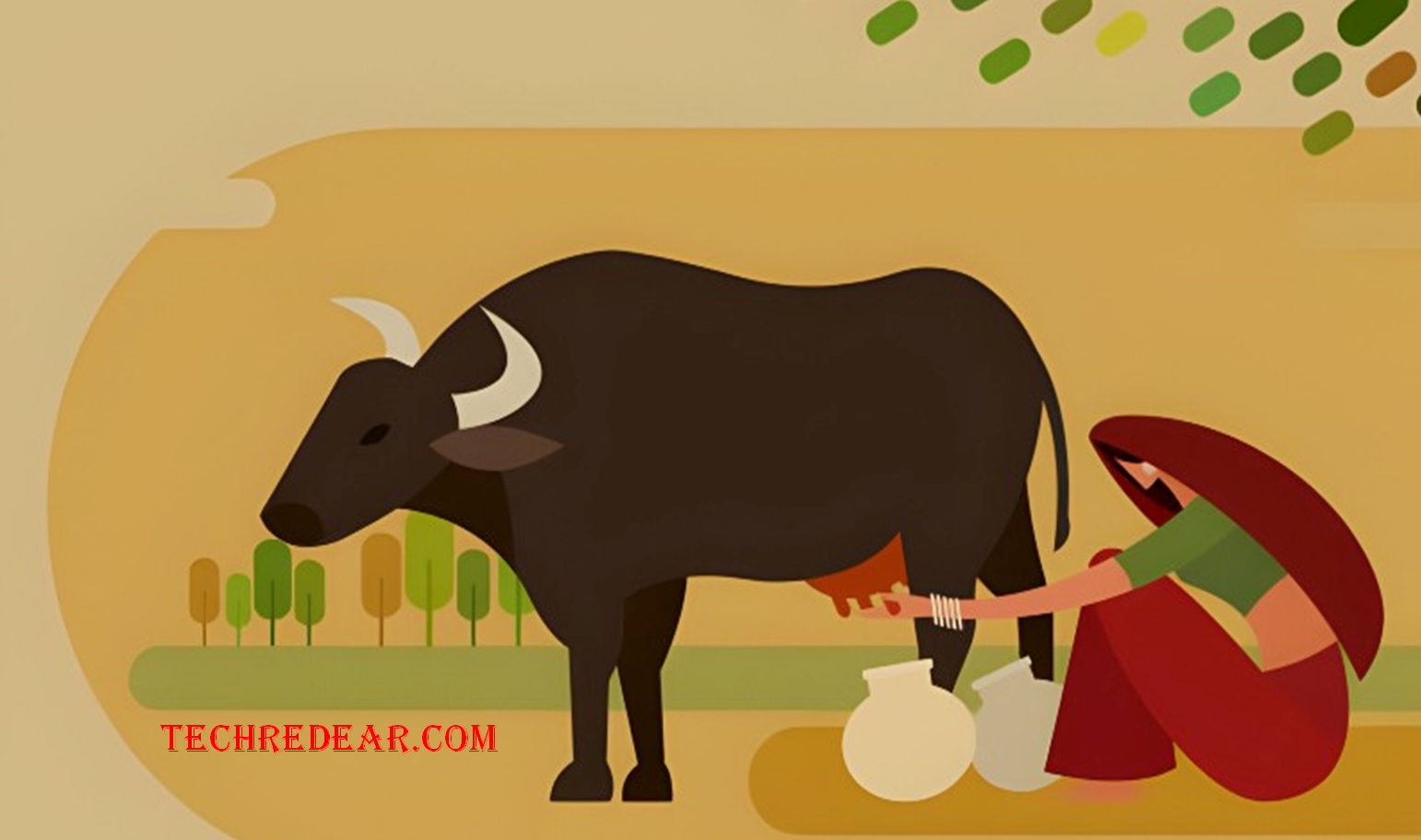 wellhealthorganic buffalo milk tag: Assurance and Quality